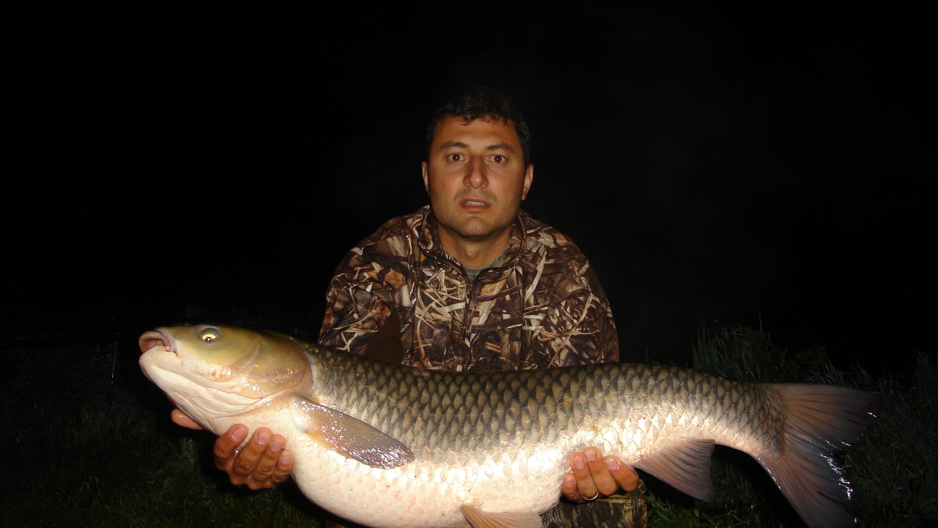 Tancabesti - Avicola 